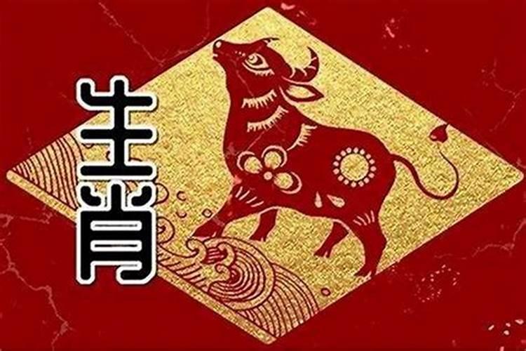 龙女和猪男婚配属相和不和,属猪男和属龙女的八字合不合