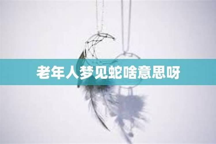 梦见别人抓到老鼠