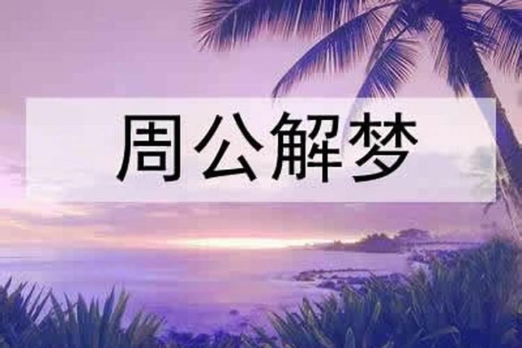 备孕女人梦见鱼是什么征兆,已婚女人梦到鱼是什么征兆