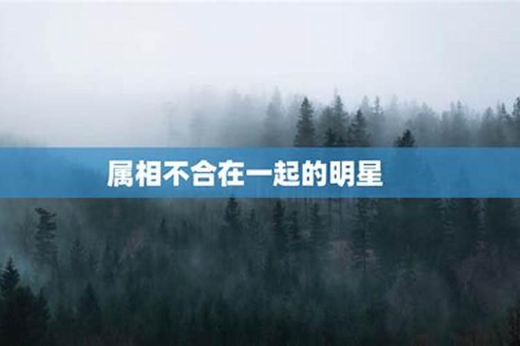 2025年几月几日有流星雨