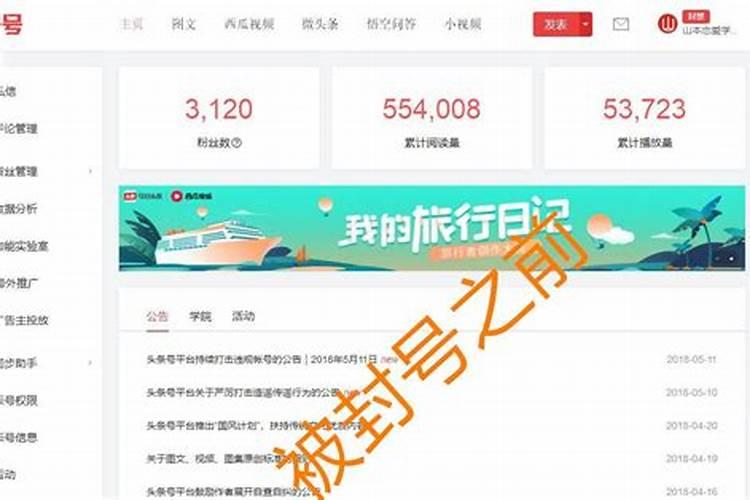 2025年属猪的全年运势