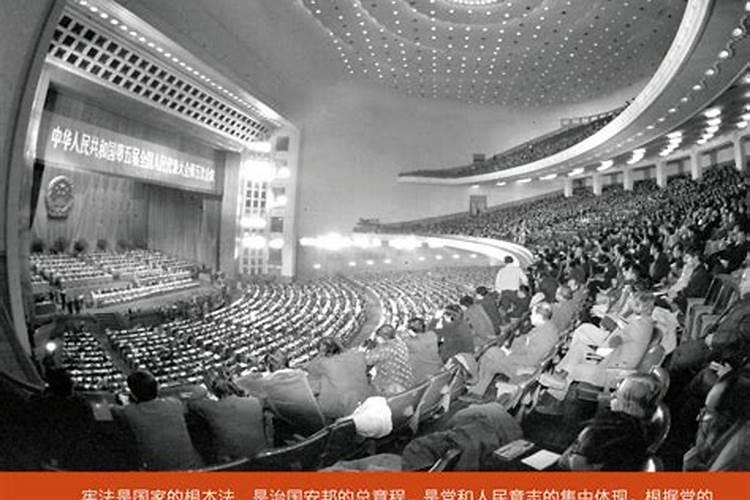 请教84年属鼠今年该怎样转运？