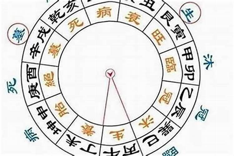 男属兔87年和什么属相最配