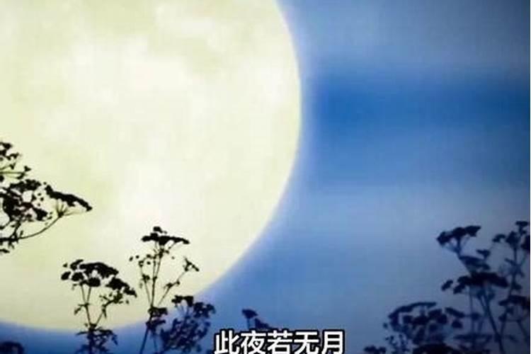 男兔女马婚姻最终结局