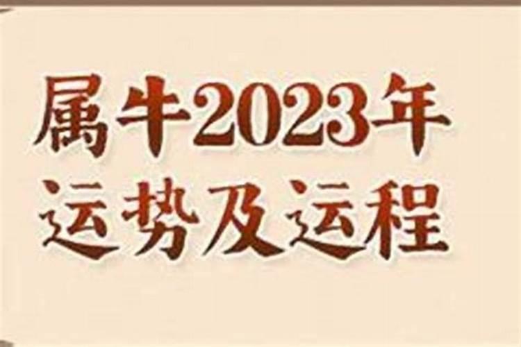 1997年属牛女2024年健康运受凶星影响