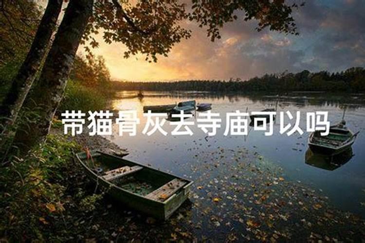生辰八字五行缺木怎么化解补救