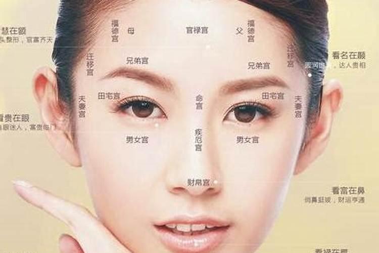 属鼠和属狗的婚姻怎么样 狗和鼠相配财运如何