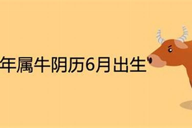 春节邹城有什么好玩的地方吗？