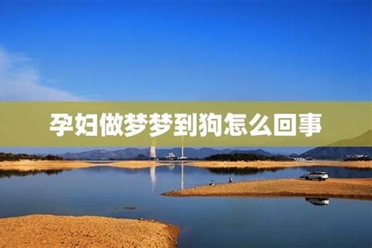 怀孕的人梦见狗是什么意思