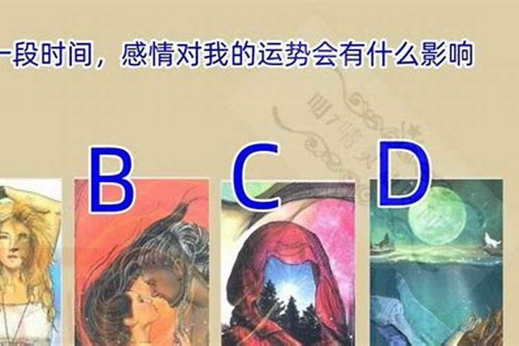 看看我的八字,算算我的一生命运。