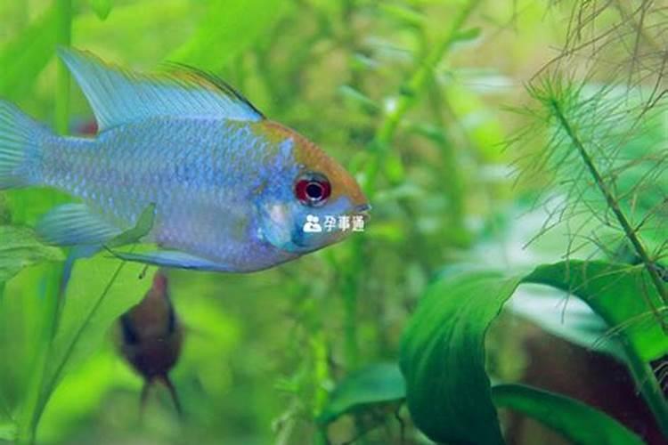 八卦图什么坐向阳宅不能挂
