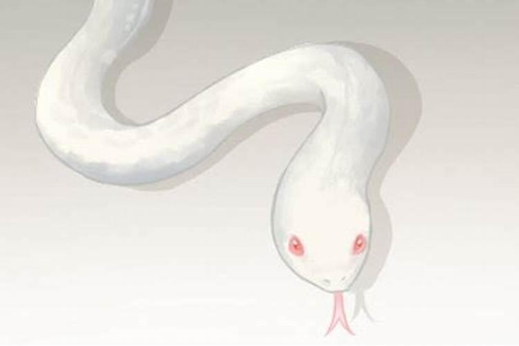 鼠娶虎好吗 男鼠女虎相冲吗