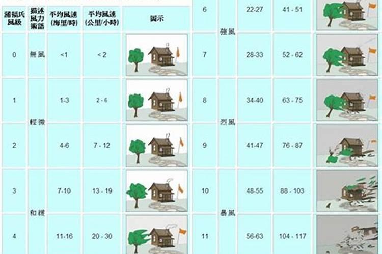 梦见从树上摘枣子的预兆