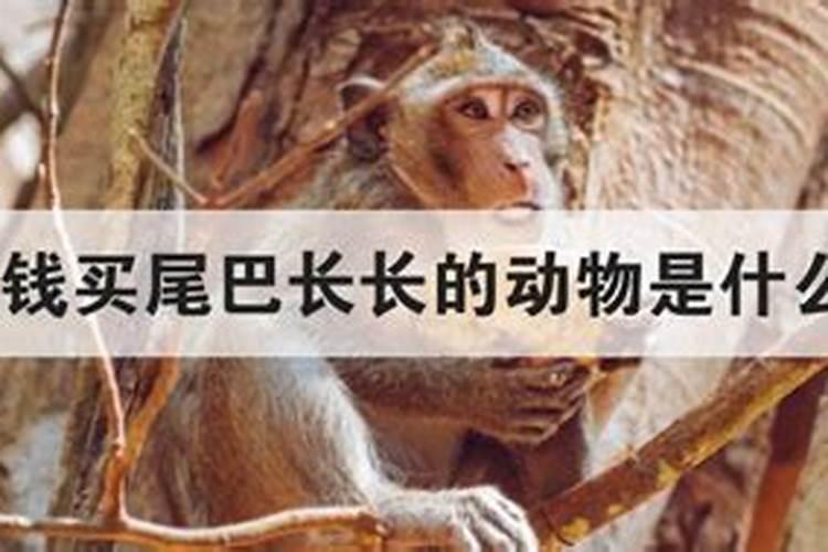 受生债28万贯是多少元宝