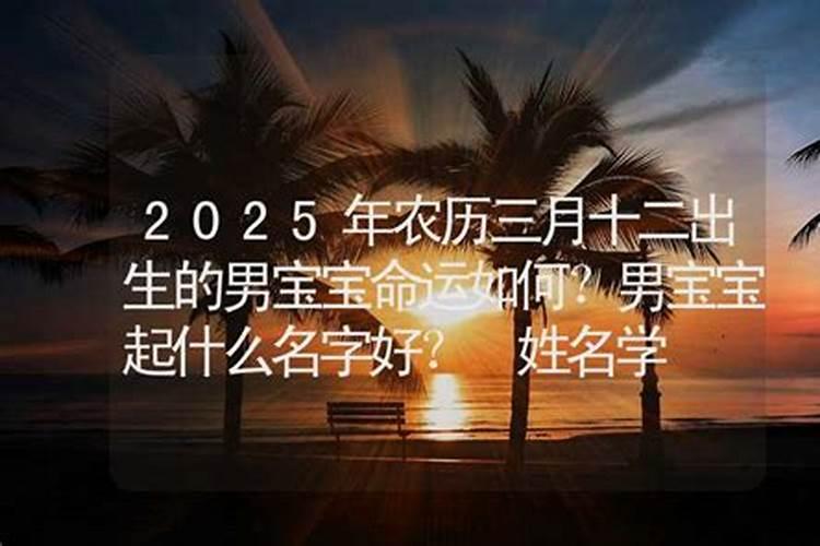 2025年1月11日属什么