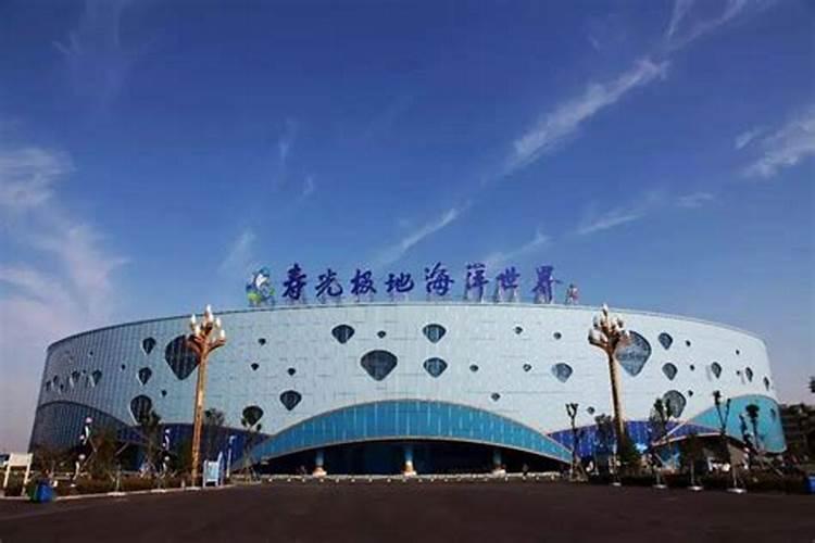 80年属猴2024年运势每月运程