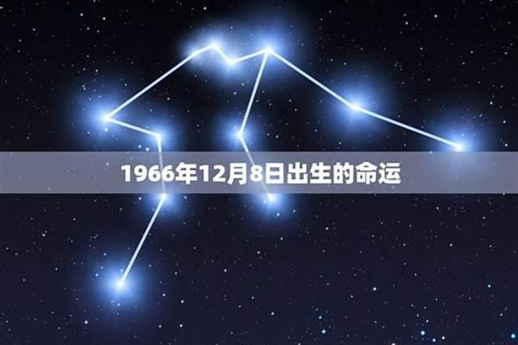 生肖牛2025年运势及运程如何