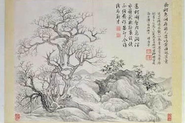 梦见弟弟,周公解梦梦到弟弟是什么意思,做梦梦见弟弟好不好