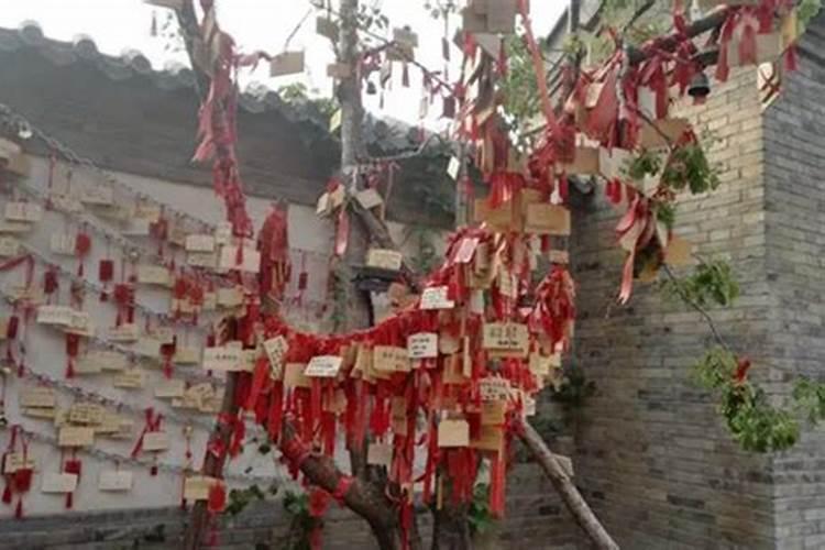 南方小年和北方小年什么意思