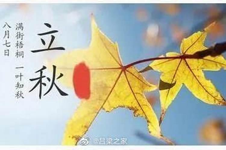 立秋是二十四节气中的第几个