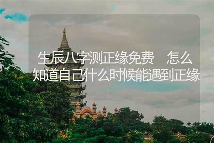 龙在蛇年2025的运气如何