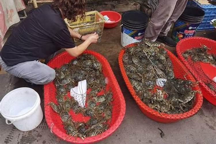 属蛇几点出生最好？辰时出生大吉