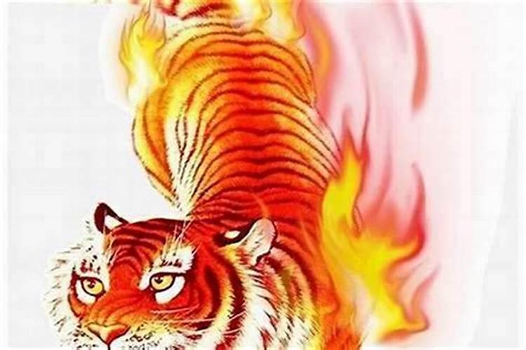 生肖虎2025年运势 属虎2025年运势及运程