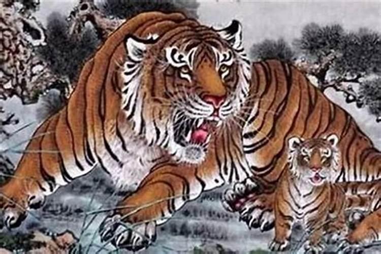 属虎人一生运势