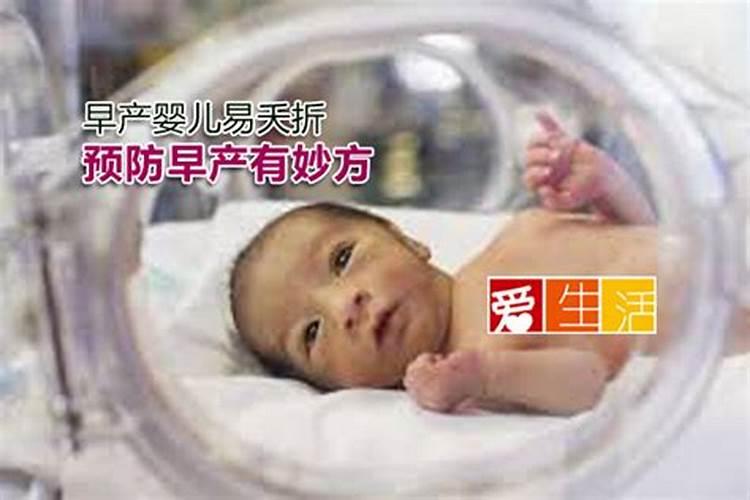 我想夭折的孩子,她会是小仙子吗？