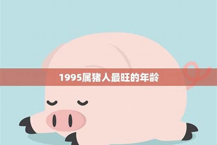 95年属猪女人终身的命运婚姻是怎样样的？