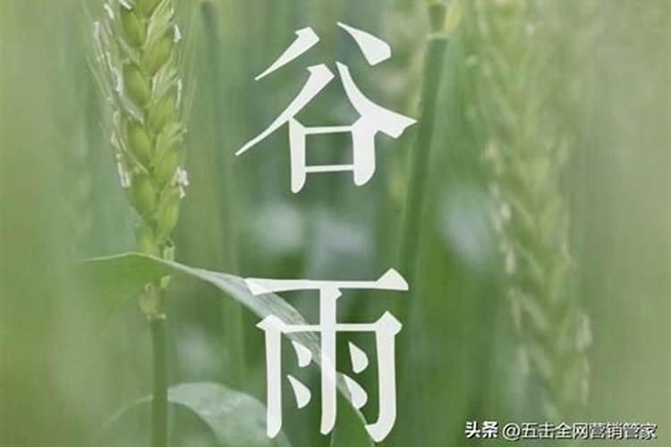 端午节风俗的主要特点