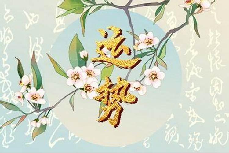 71年属猪人2024年每月运势
