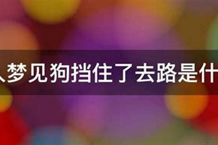 慈溪森林公园要门票吗,慈溪春节风景区门票