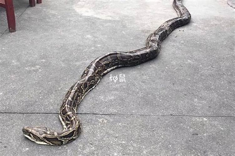 人死了请道士做法有什么用