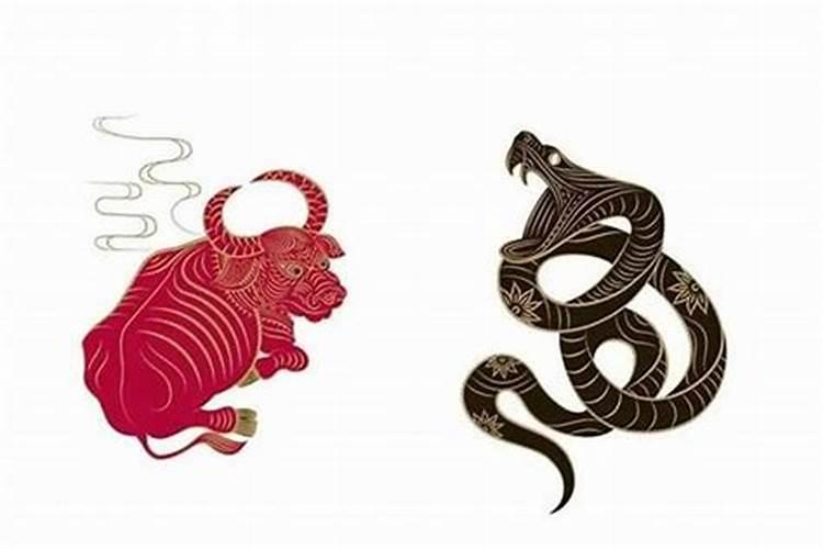 属蛇和属牛的婚姻相配吗