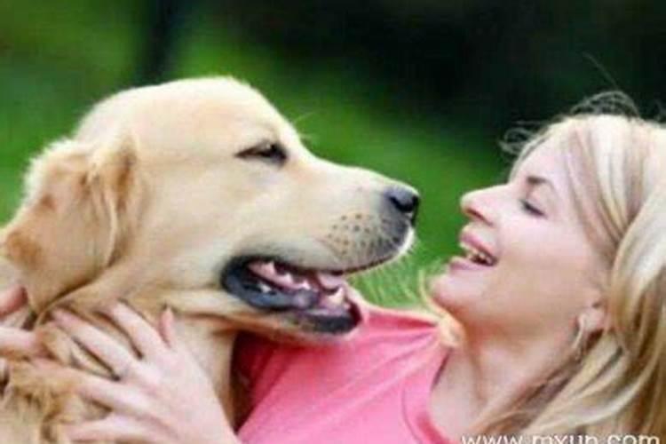 梦见老婆的前男友来我家了
