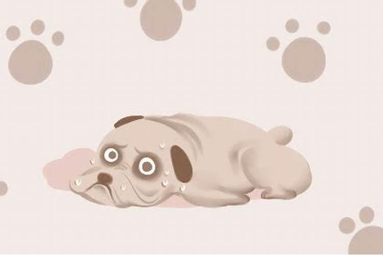 孕妇梦到狗生孩子