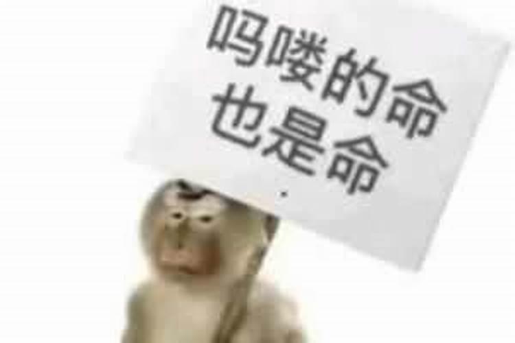 1985属牛一生三劫有哪些三劫？