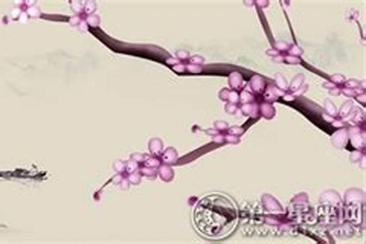 虎本命年要佩戴什么