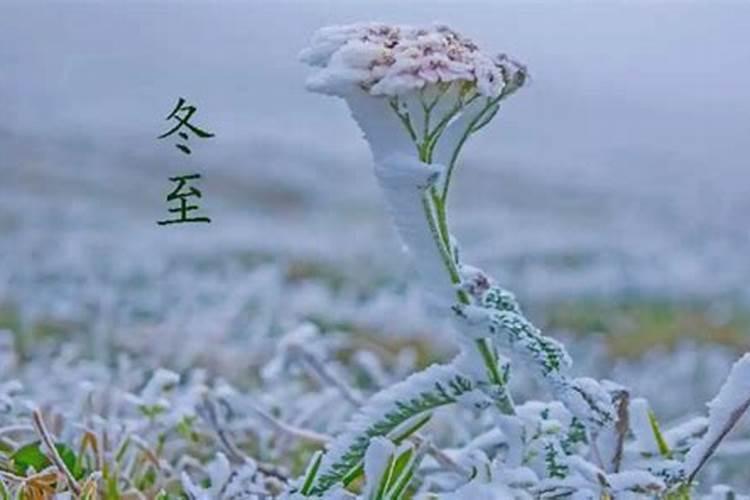 冬至扫墓习俗