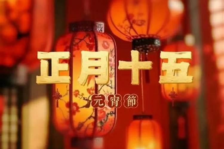 属蛇人今年运势如何
