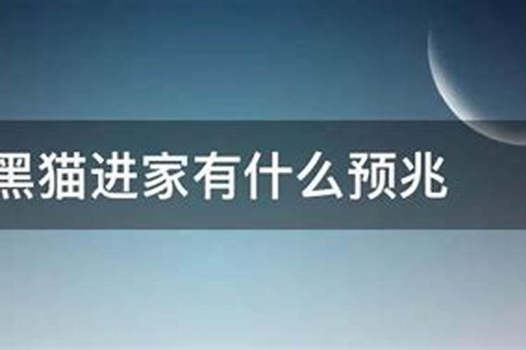 黑猫进家门有何说法