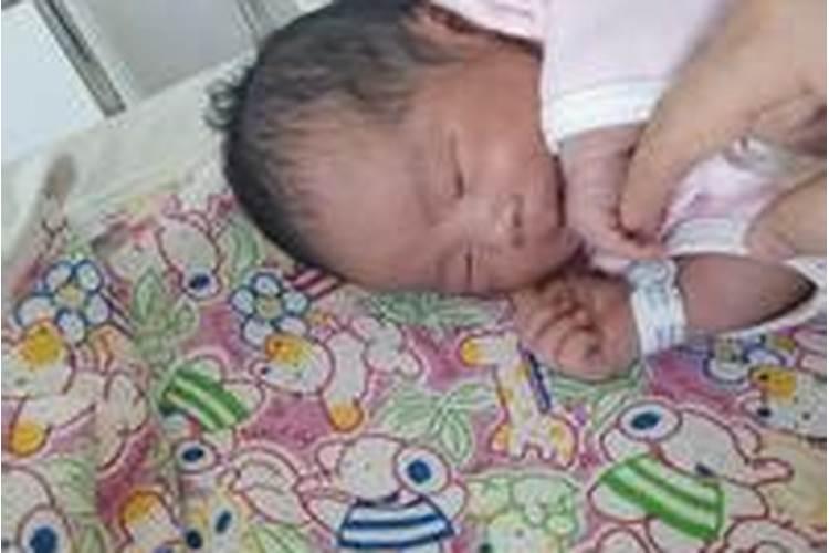 离婚后复婚要什么证件