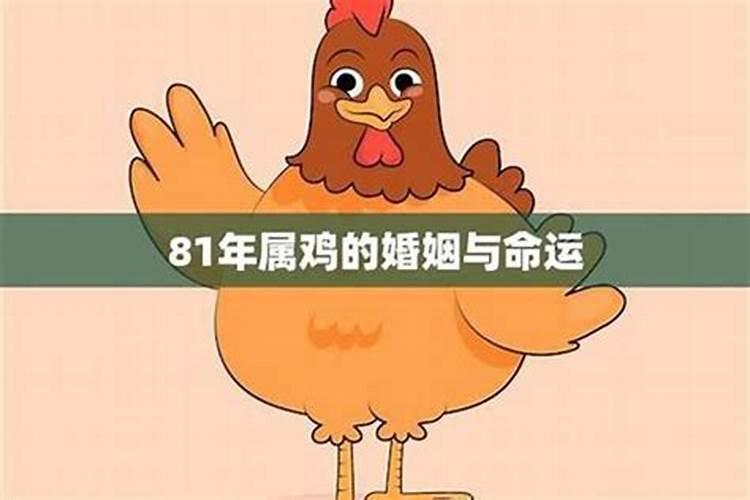93属鸡女人的注定二婚 属鸡人过多桃花源导致婚姻不顺利