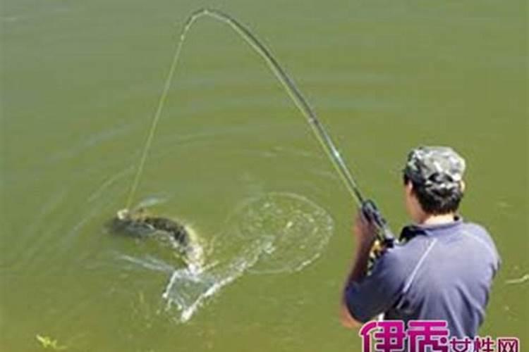 零三年的农历腊月十八日出生的人是什么星座