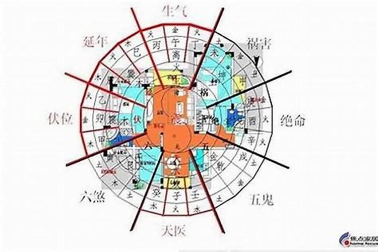 哪个楼层旺自己