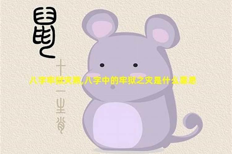 重阳节的主要传统习俗是什么