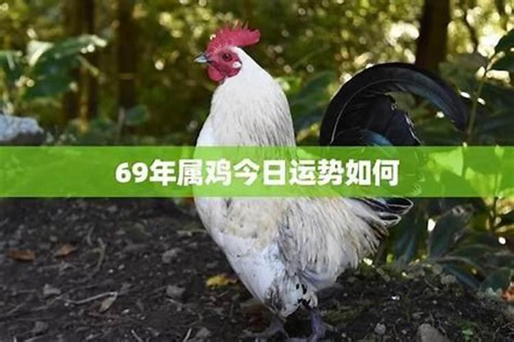 男人犯桃花劫的后果