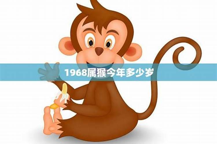 属虎2025年犯太岁怎么化解