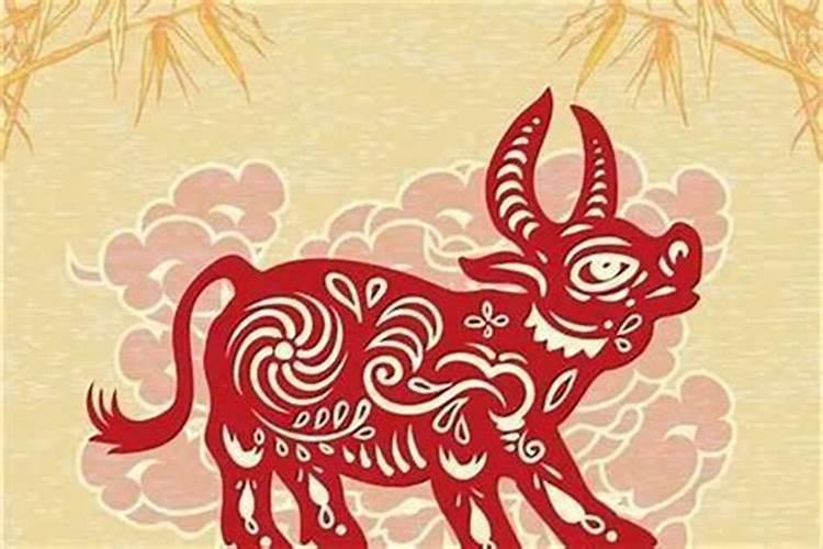 2024年犯太岁的生肖 犯太岁应该注意哪方面？